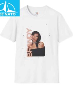 Brandy Vintage Softstyle Shirt