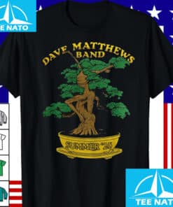 Dave Matthews Band Summer 2025 Tour Shirt2
