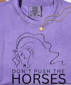 Dont Push The Horses Usyk Boxing Quote Shirt1