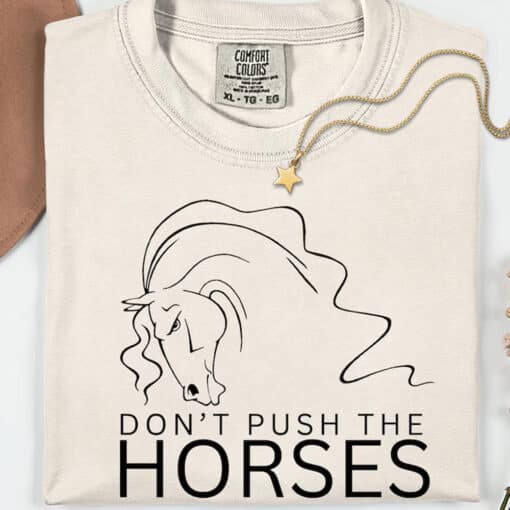 Don't Push The Horses Usyk Boxing Quote Shirt - Image 3