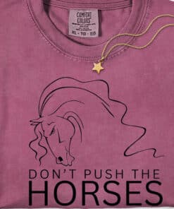 Dont Push The Horses Usyk Boxing Quote Shirt3