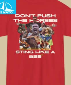 Oleksandr Usyk Dont Push The Horses Shirt5